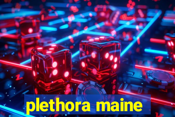 plethora maine